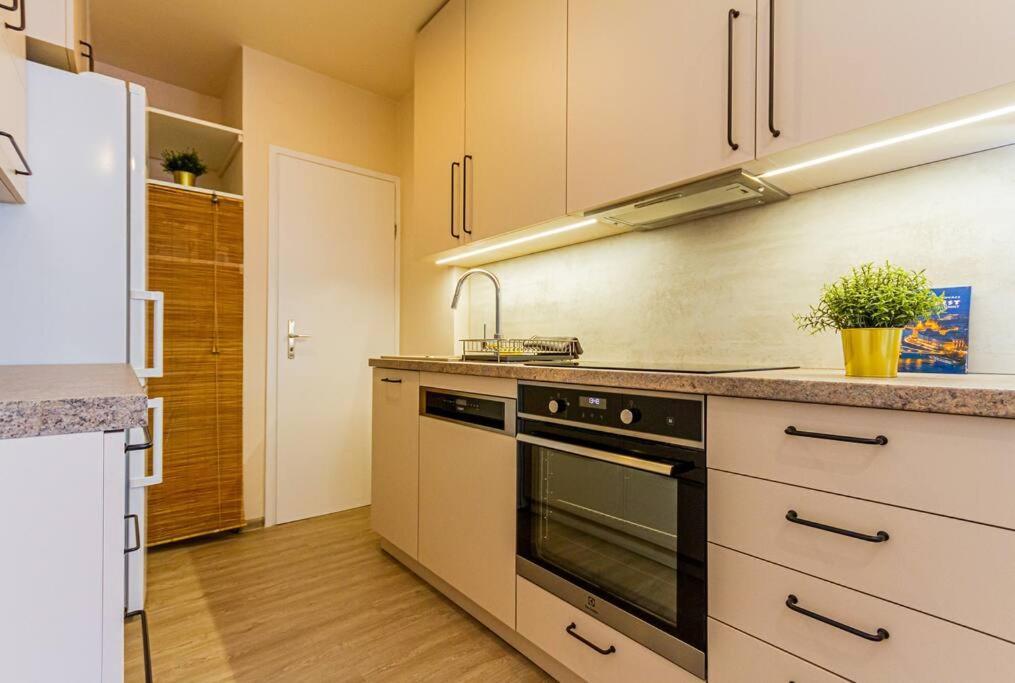 Roomy Apartment 80Sqm At City Center Free Parking Space, Ac & Balcony Budapest Kültér fotó