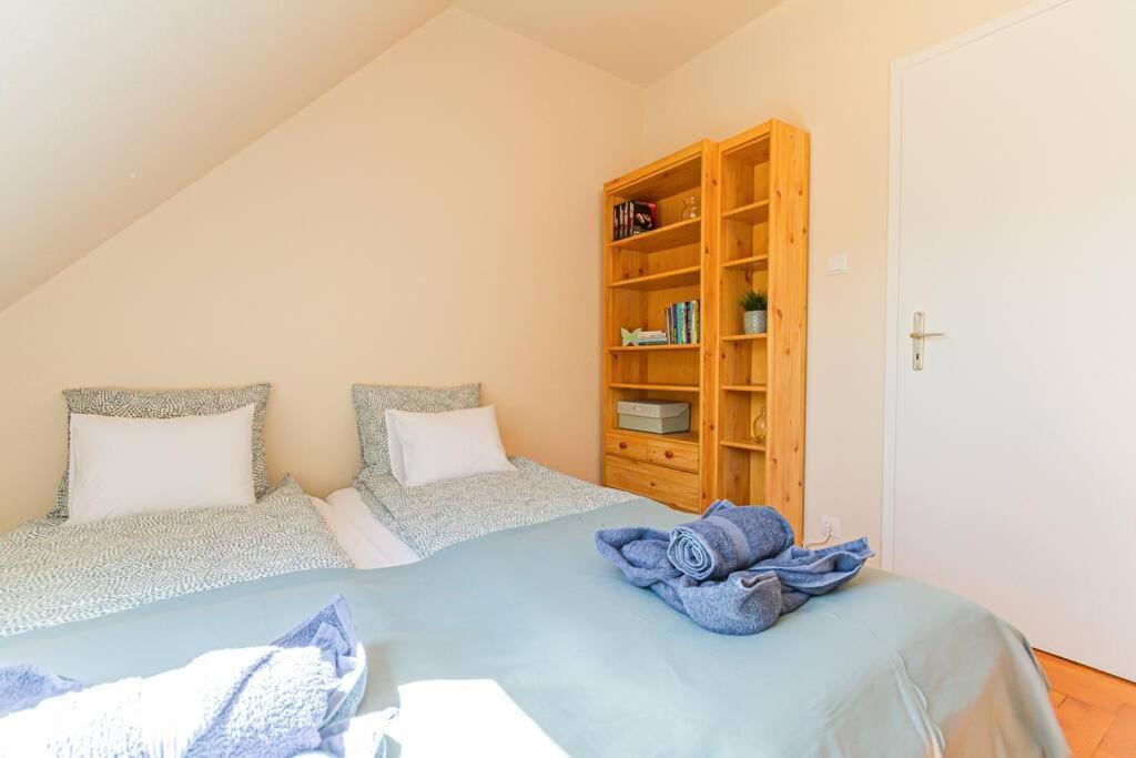 Roomy Apartment 80Sqm At City Center Free Parking Space, Ac & Balcony Budapest Kültér fotó