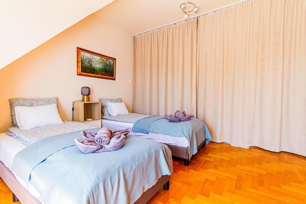 Roomy Apartment 80Sqm At City Center Free Parking Space, Ac & Balcony Budapest Kültér fotó